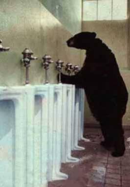 un ours qui pisse